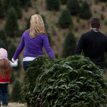 Family bringing fresh Christmas tree home